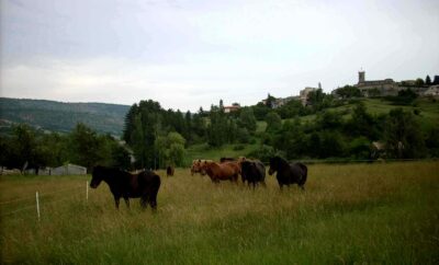 Gîte Provence Lubéron (paca)