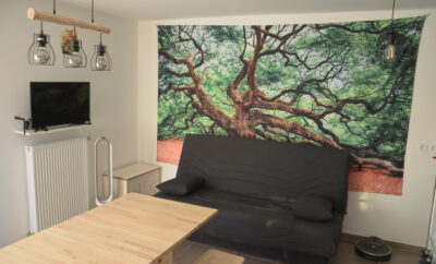 Appartement T2 à Thonon les Bains