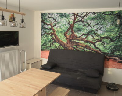 Appartement T2 à Thonon les Bains