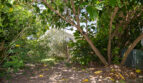diaporama
