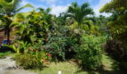 diaporama
