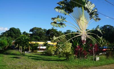 Gîte 4 pers, spacieux et calme dans un jardin Tropical, Guadeloupe