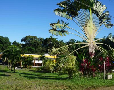 Gîte 4 pers, spacieux et calme dans un jardin Tropical, Guadeloupe