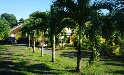 Gîte 4 pers, spacieux et calme dans un jardin Tropical, Guadeloupe
