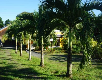Gîte 4 pers, spacieux et calme dans un jardin Tropical, Guadeloupe