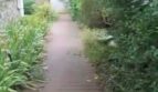 diaporama