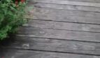 diaporama