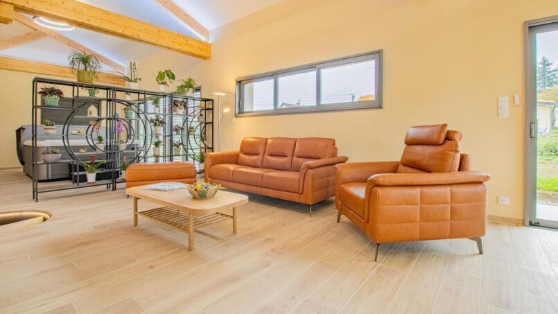 salon moderne avec canapés en cuir, salon coloré avec télévision et décorations florales