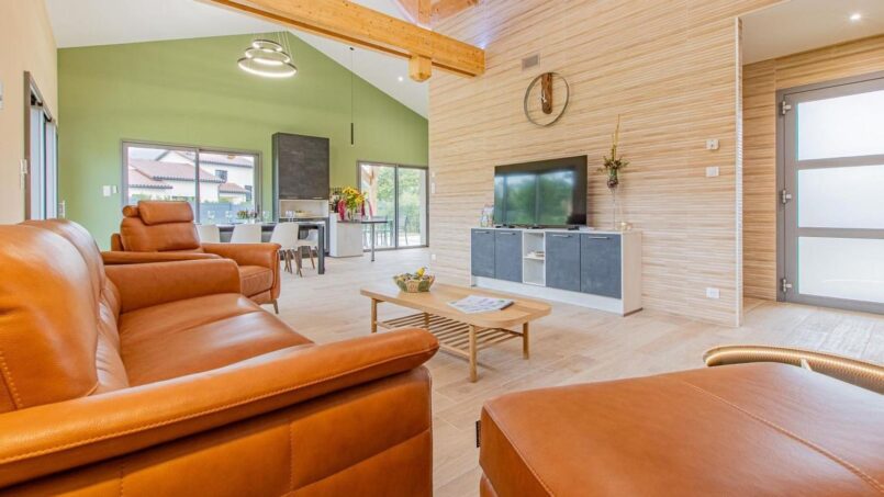 salon moderne avec canapés en cuir, salon coloré avec télévision et décorations florales