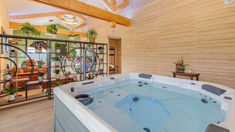 jacuzzi, moderne, eau, plantes, fleurs, coloré