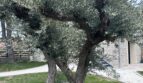 diaporama